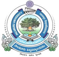 Palamuru University
